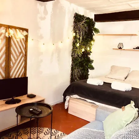 Jungle Hyper Centre * Nîmes