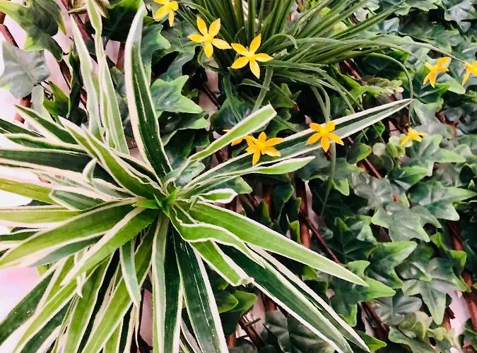 Jungle Hyper Centre Nîmes