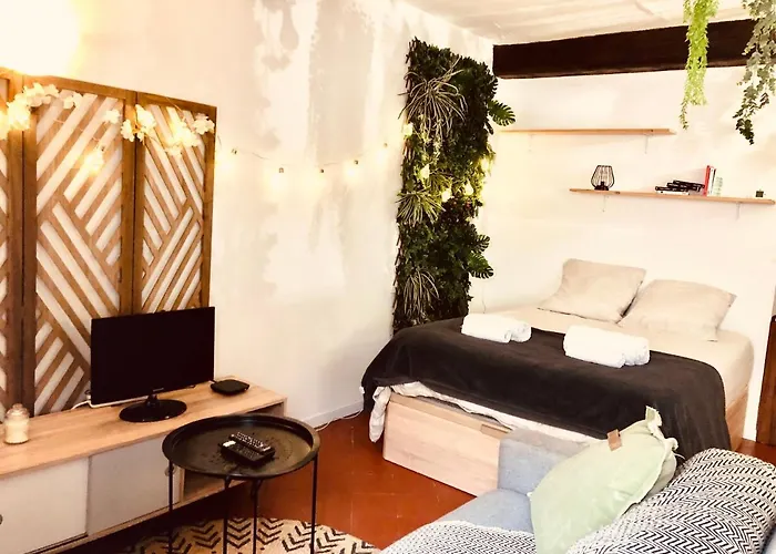 Jungle Hyper Centre * Nîmes